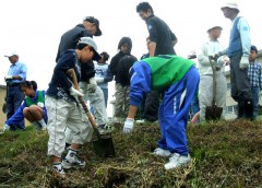 みんなで協力して水仙を植えているようす(2007年5月)